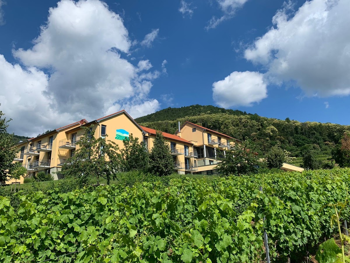 Wohlfühlhotel Alte Rebschule – Foto 1