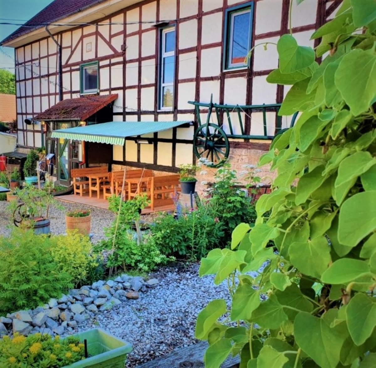 Hotel Pension Bad Langensalza Eichenhof – Foto 1